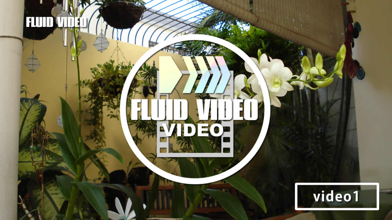video1